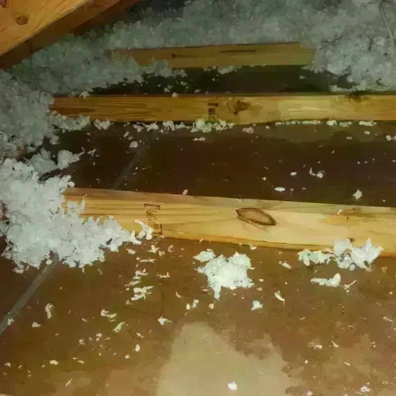 Attic Water Damage in Briscoe County, TX